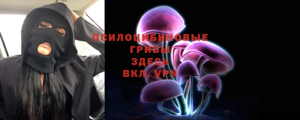 прущие крисы Инсар