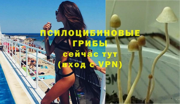 марки nbome Инта