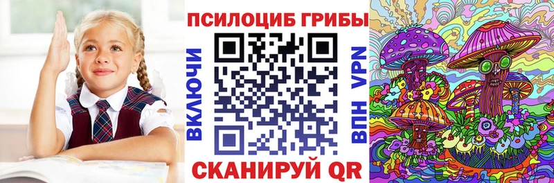 Купить где  Бахчисарай  Галлюциногенные грибы Psilocybine cubensis 